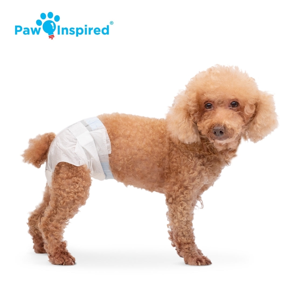 Paw Inspired NIP Super Absorbent 32 Count Female Dog Disposable Diapers Sz Small - Picture 3 of 9